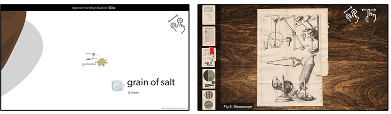 screen shots of Microscopes Scale interactive and Micrographia