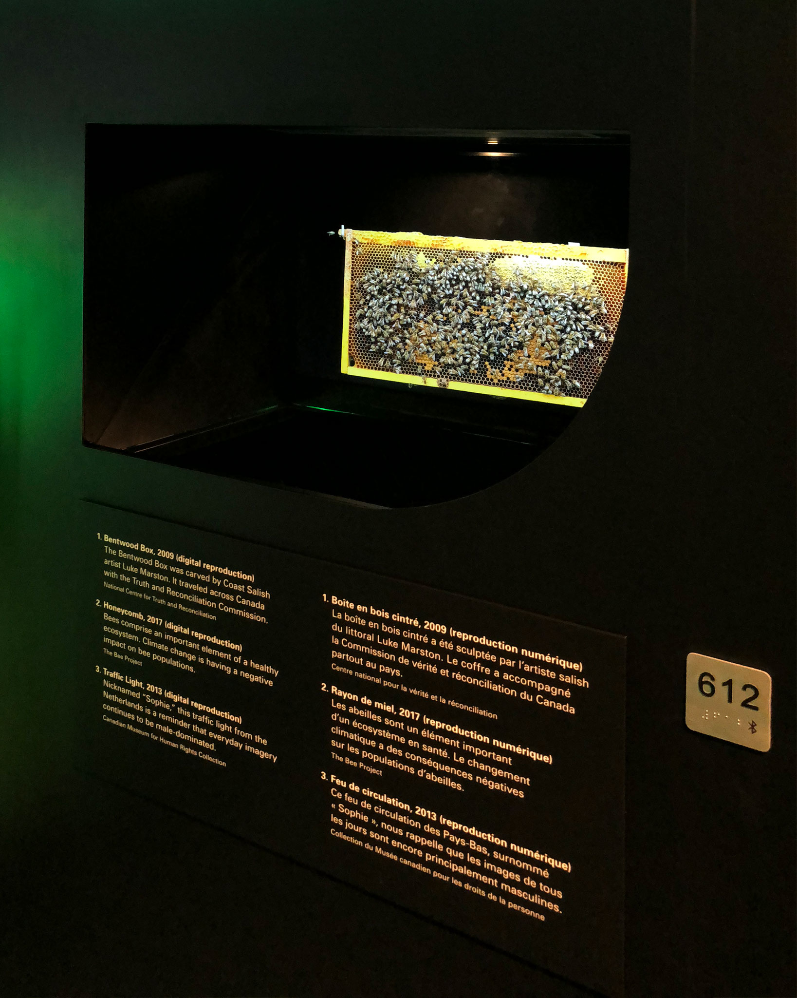 A bee colony is displayed on a holographic device surrounded by printed exhibition text.