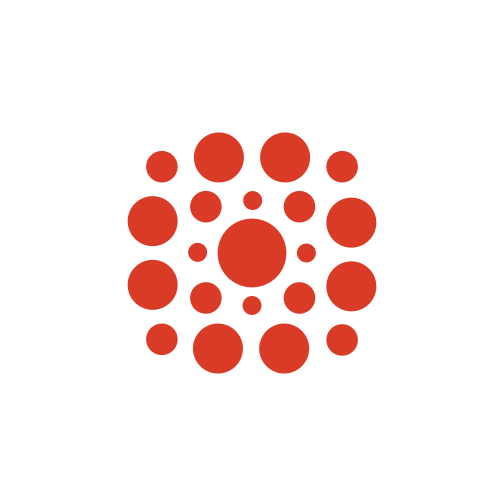 Figure 5: holistic team model